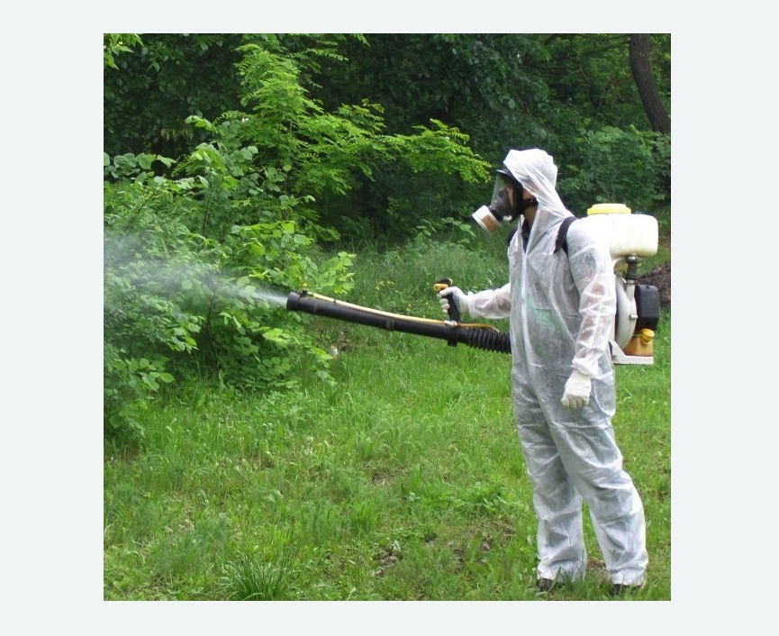 обработка территории от клещей в Красновишерске