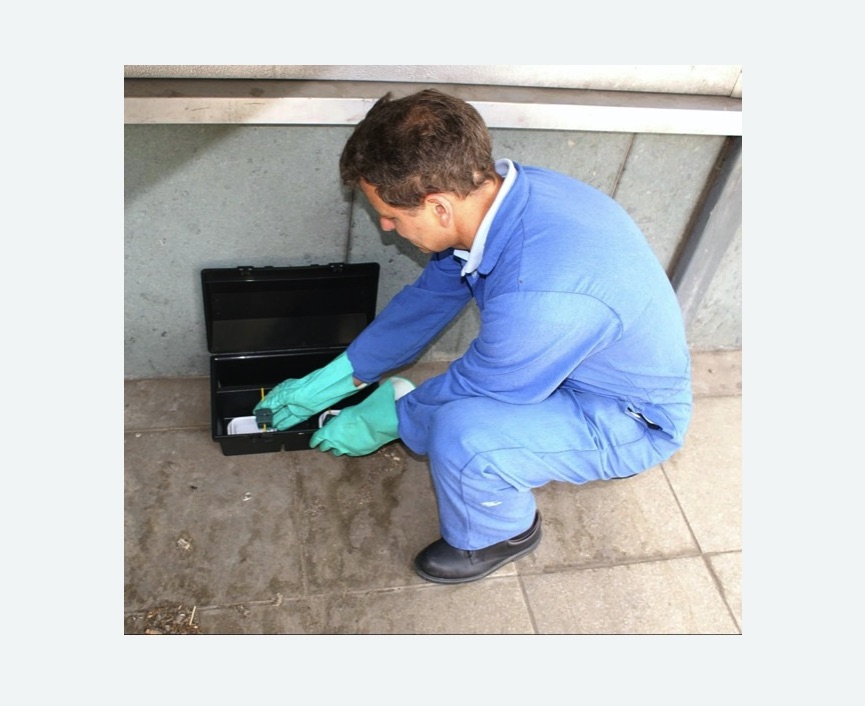 Дератизация помещения в Красновишерске Дератизация помещения