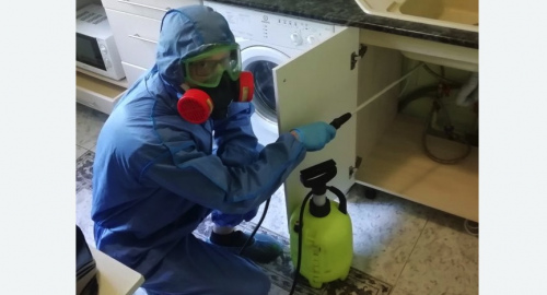 Уничтожение муравьев в квартире. Красновишерск