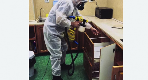 Уничтожение насекомых в квартире. Красновишерск