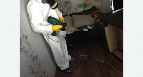 Обработка квартир от насекомых в Красновишерске