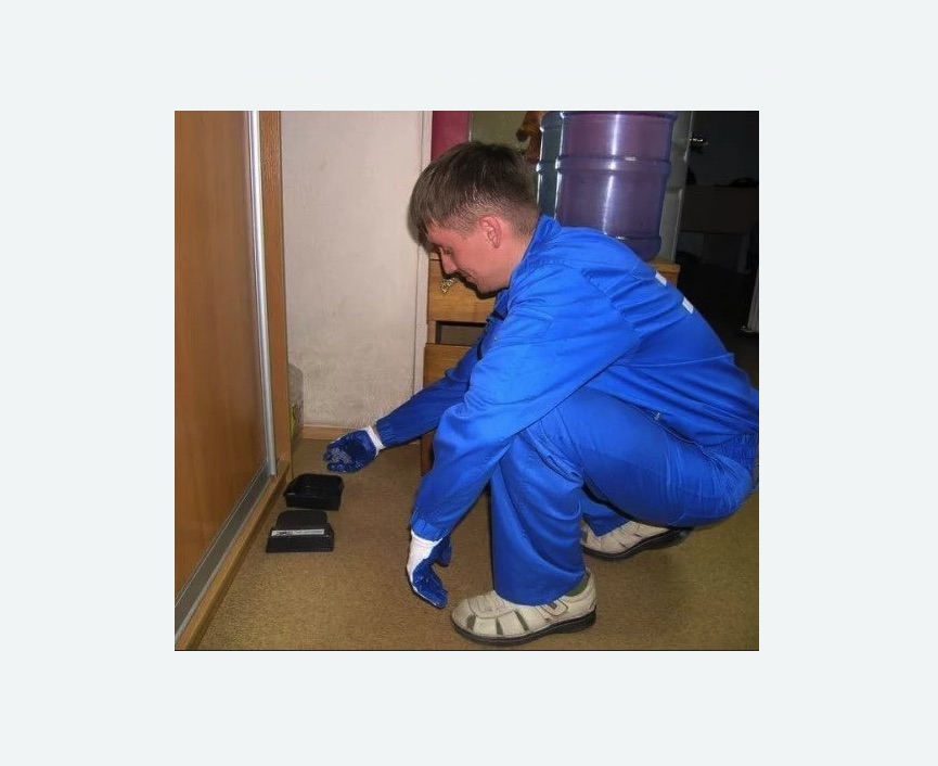 Дератизация крыс в Красновишерске