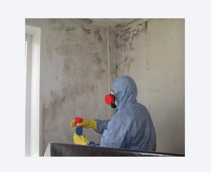Удаление плесени в квартире в Красновишерске