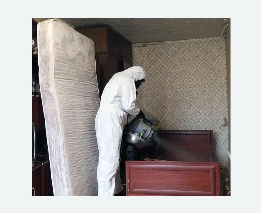 дезинфекция от клопов в Красновишерске