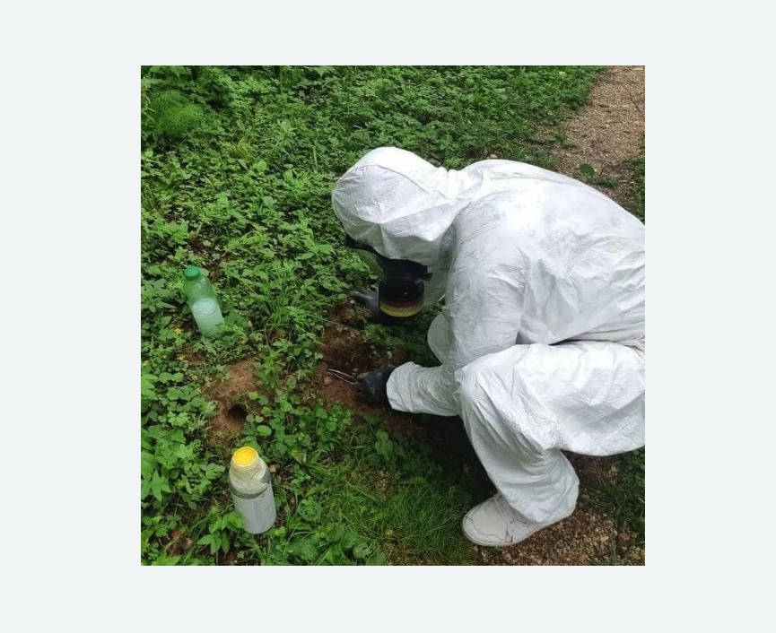 уничтожение кротов на участке в Красновишерске