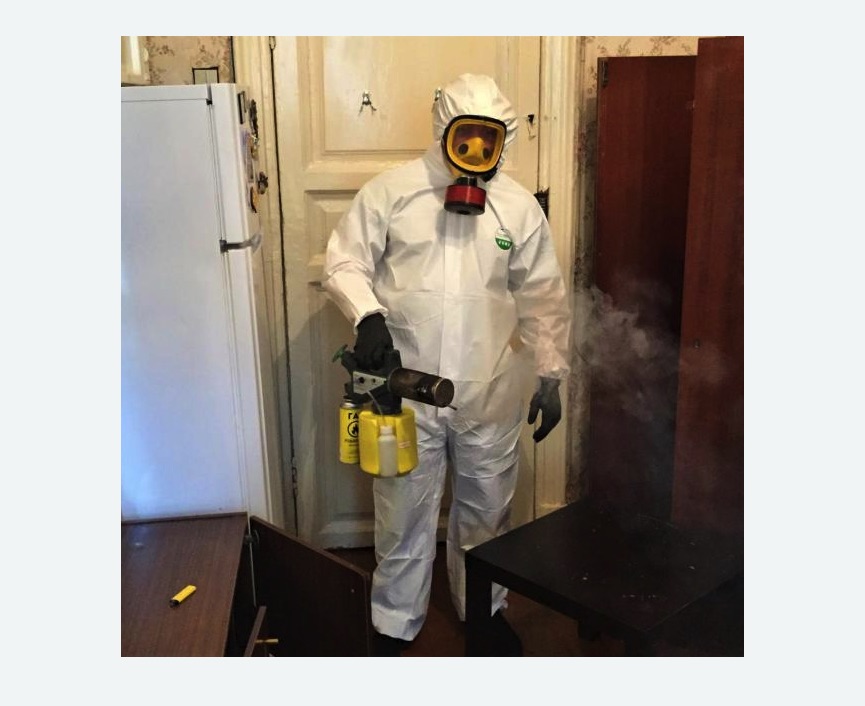 уничтожение муравьев в квартире в Красновишерске